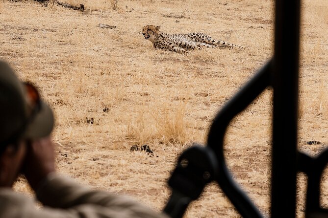 Full Day Pilanesberg Safari Adventure - Guides, Sightings, and What “Good Communication” Looks Like