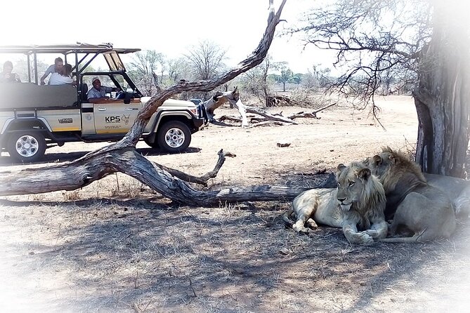 Full Day Private Kruger Park Safari - 10:00 brunch at a picnic site: the pacing reset