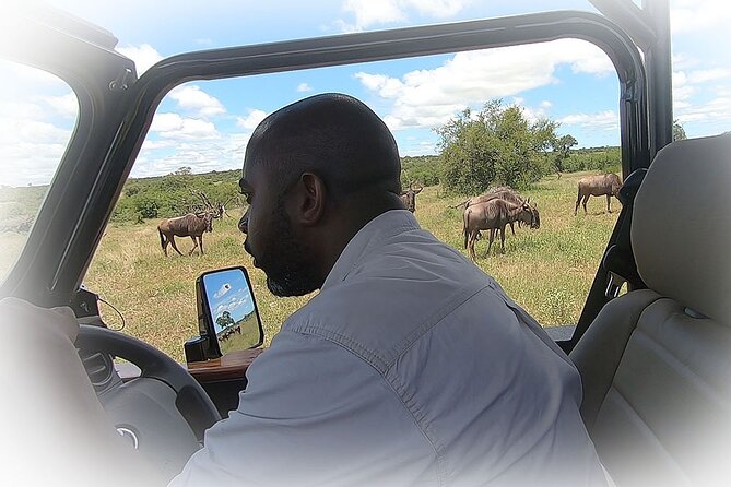 Full Day Private Kruger Park Safari - 12:30 lunch at a rest camp: plan for your own meal