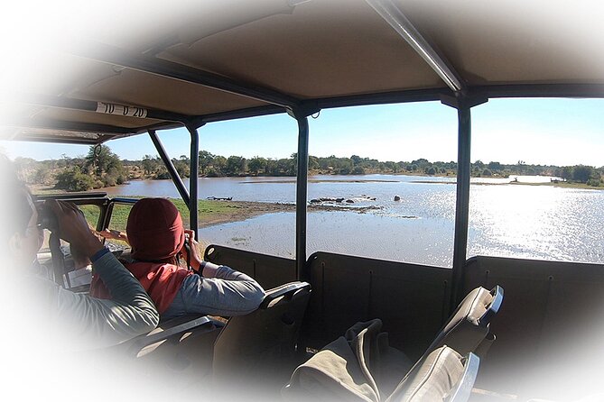 Full Day Private Kruger Park Safari - Afternoon game viewing: 14:30 to 18:00