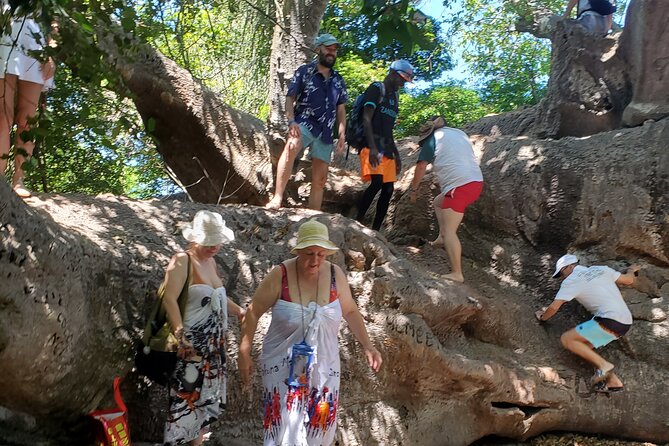 Full Day Private Safari Blue Sea Adventure in Zanzibar - Mangrove Lagoon and Natural Swimming Pool: A Different Zanzibar View
