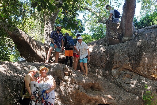 Full Day Private Safari Blue Sea Adventure in Zanzibar - Time on the Clock: What a Typical Day Timeline Looks Like