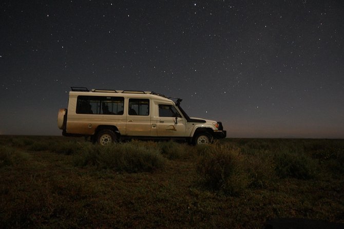 Full-Day Private Serengeti Safari from Mwanza - The 6:00 am Mwanza start that shapes your whole Serengeti day