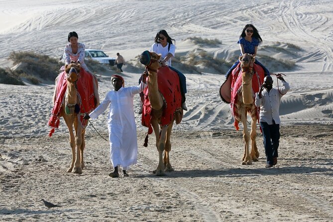 Full-day Qatar desert safari: dune bashing, sandboarding, camels - A Doha desert safari that switches gears on purpose