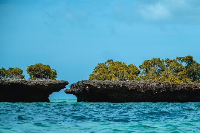 Full Day Safari Blue Zanzibar - From Stone Town docks to the first sail: how the day starts