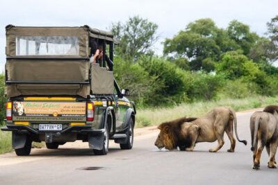 Full Day Safari - Kruger National Park - Price and logistics: what $89.42 covers (and what it doesn’t)