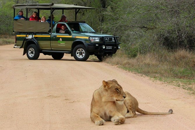 Full Day Safari - Kruger National Park - Wildlife sightings: what you can hope to see (realistically)