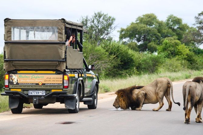 Full Day Safari - Kruger National Park - Price and logistics: what $89.42 covers (and what it doesn’t)