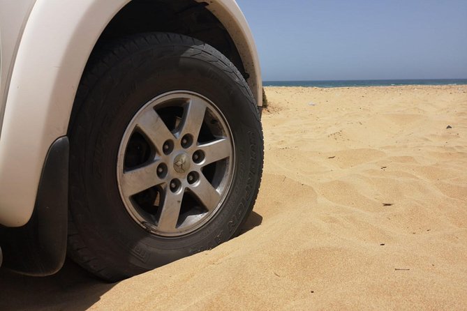 Full-Day Safari Small Desert With Lunch - Marina and Kasbah: Closing the City Loop