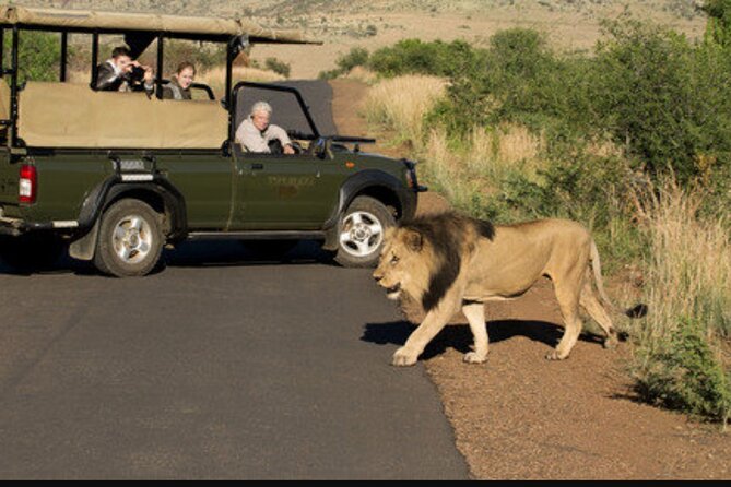 Full Day Safari Tour of Pilanesberg National Park, Open Jeep experience - Who this safari day suits best