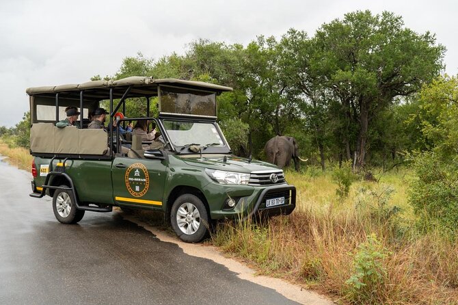 Full-Day Shared Kruger National Park Safari from Hoedspruit - Price and Value: Is $129.80 a Fair Deal?