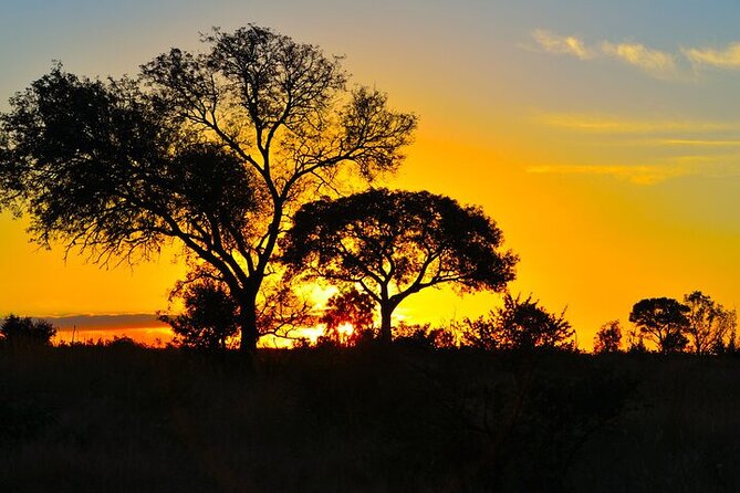 Full-Day Shared Kruger National Park Safari from Hoedspruit - Guide Quality Makes the Difference: Why Eddie’s Mention Matters