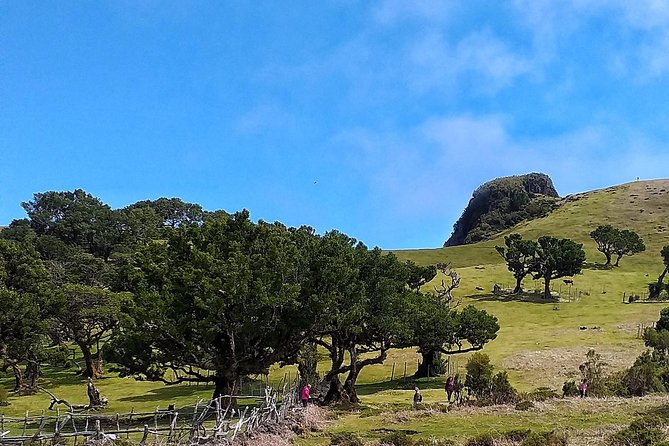 Full-Day Small Group Jeep Safari Tour from Funchal - The Small-Group Advantage: Guides Like Miguel, Dinarte, Hugo, Nuno, Spencer, and Nelson