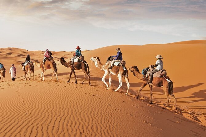 Full-Day Small-Group Red Desert Safari with BBQ Dinner in Dubai - Price and value: what $57 includes (and what to add)