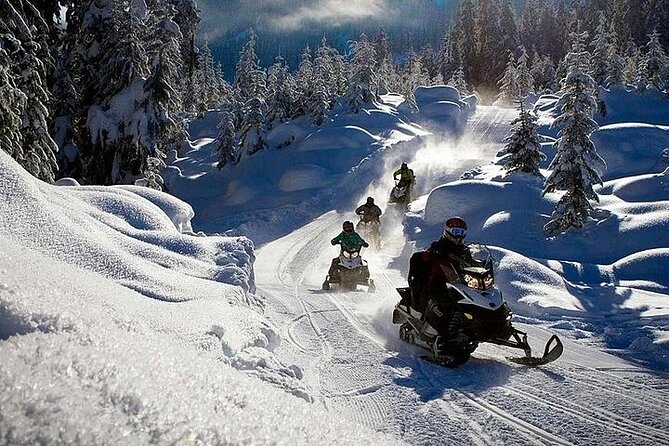 Full Day Snowmobile Safari - Rovaniemi Snowmobile Safari: What You’re Really Buying