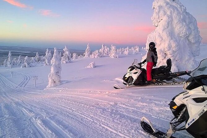 Full Day Snowmobile Safari - Driving the Snowmobile: Licenses, Group Flow, and Safety Basics