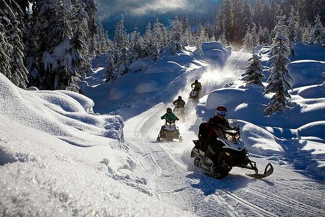 Full Day Snowmobile Safari - The Route Through the Arctic Forest: Scenery and “Hidden Places”
