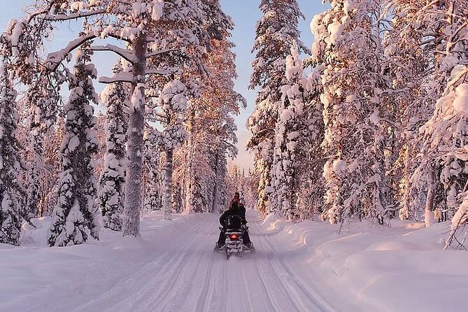 Full Day Snowmobile Safari - Who This Tour Fits Best (and Who It Doesn’t)