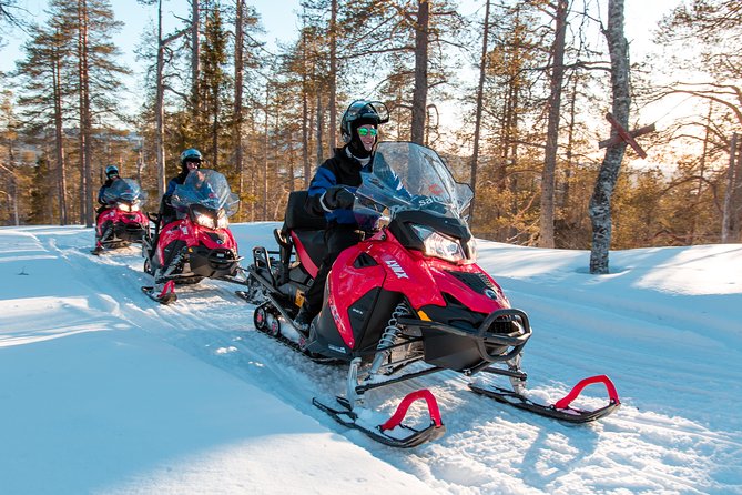 Full Day Snowmobile Safari into the Lappish Wilderness in Rovaniemi - Should you book this full-day snowmobile safari from Rovaniemi?