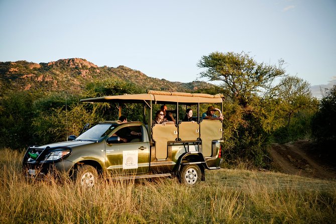 Full Day Ultimate Pilanesberg National Park Safari from Johannesburg or Pretoria - Pilanesberg National Park Safari from Johannesburg and Pretoria: Is It a Good Use of Your Time?