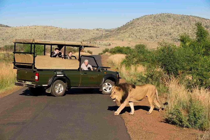 Full Day Ultimate Pilanesberg National Park Safari from Johannesburg or Pretoria - Big Five chances: what to expect, and what not to expect