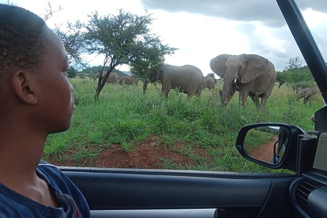 Full Day Ultimate Pilanesberg National Park Safari from Johannesburg or Pretoria - Your early start and the road reality from Joburg or Pretoria