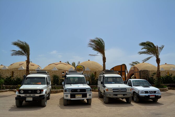 Fun Safari ATV, Buggy Car and Dinner, Show-Hurghada - Who should book this Hurghada ATV + dinner show?