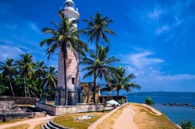 Galle Day Trip with River Safari, Sea Turtle & Stilt Fishermen - Induruwa sea turtle conservation: a short stop with real purpose
