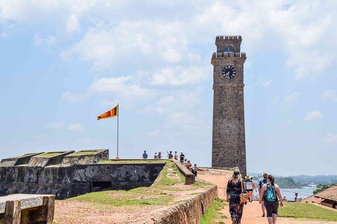 Galle Day Trip with River Safari, Sea Turtle & Stilt Fishermen - How the day feels: timing, transport, and what to expect from the guide role