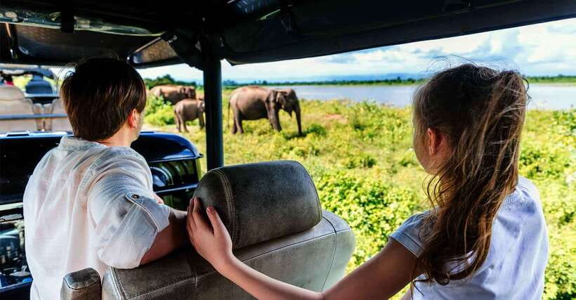 Galle/Mirissa/Hiriketiya: Drop to Ella & Udawalawa Safari - The transfer after the safari: arriving in Ella with tea views