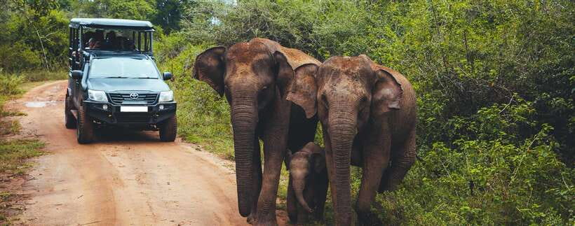 Galle/Mirissa/Hiriketiya: Drop to Ella & Udawalawa Safari - Price and what you should budget (entry fees plus food)