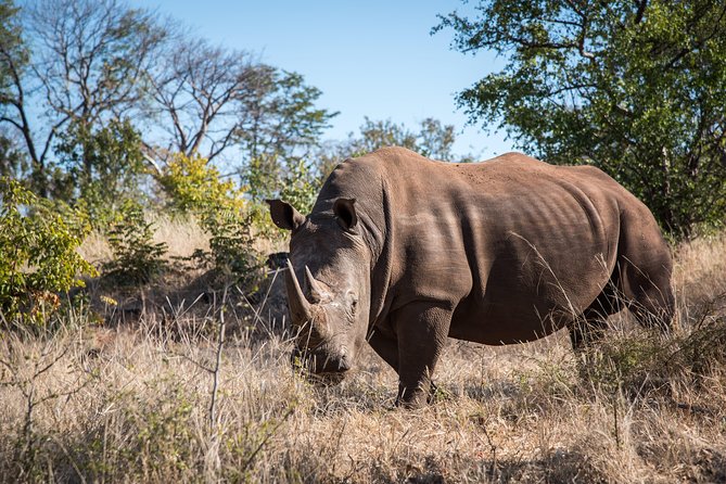 Game drive in the Mosi Oa Tunya National Park - Livingstone - Snacks, Water, and Staying Comfortable in the Park