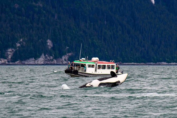 Glacier Point Wilderness Safari - Boat, Beach, Lunch: How the Timing Feels Over Six Hours