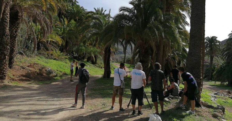 Gran Canaria: Camel Ride at Camel Safari Park - Key Things I’d Watch For at Camel Safari Park La Baranda