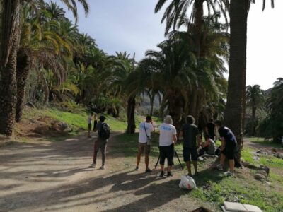 Gran Canaria: Camel Ride at Camel Safari Park - The 30-Minute Camel Ride: What You’re Really Booking