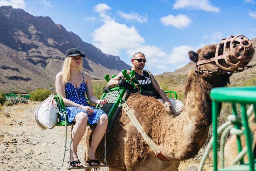 Gran Canaria: Camel Ride Safari w/ Optional Food & Transport - Camel Safari Park La Baranda: Key Highlights You’ll Care About