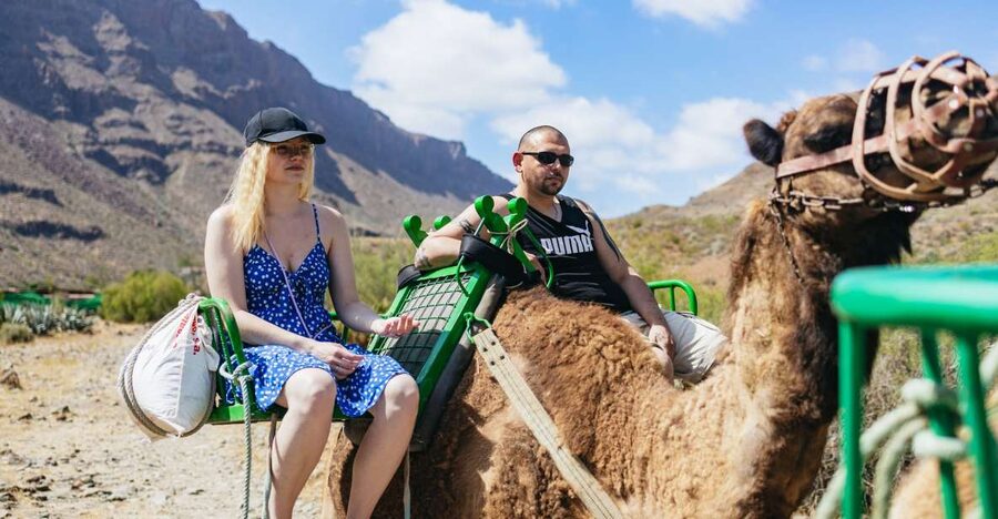 Gran Canaria: Camel Ride Safari w/ Optional Food & Transport - The 60-Minute Camel Ride: How It Works and What to Wear