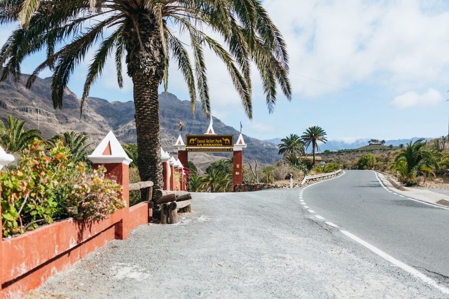Gran Canaria: Camel Ride Safari w/ Optional Food & Transport - Value for Money: What $50 Buys and What Costs Extra