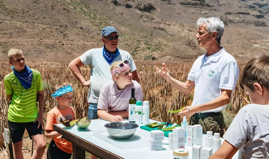 Gran Canaria: Premium Safari 4x4 Tour with Local Guide - Key Highlights You Should Know Before You Go