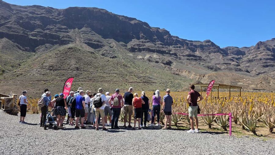 Gran Canaria: Premium Safari 4x4 Tour with Local Guide - The 4x4 Driving Part: Expect Thrill, Plus a Little Patience