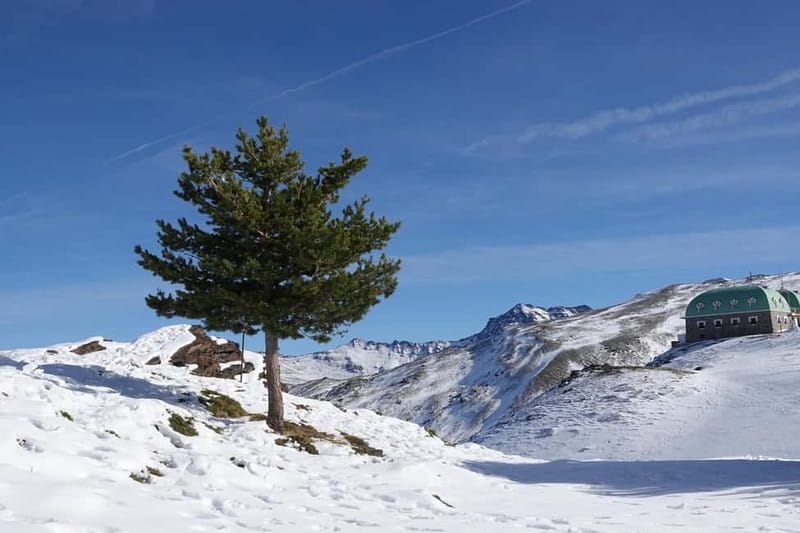 Granada: Sierra Nevada Safari Tour to 2500 m with a Drink - What to pack (and what shoes actually matter)