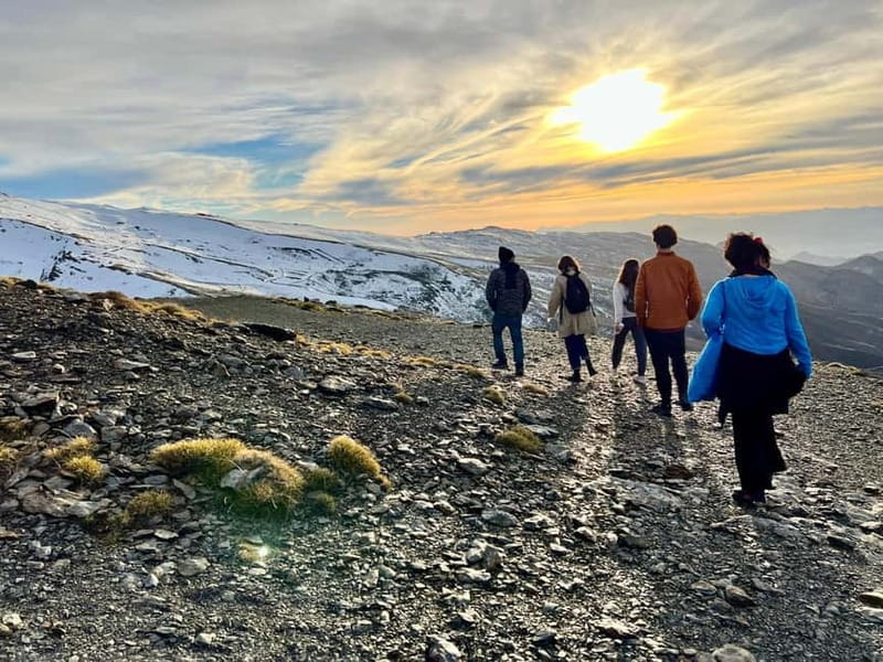 Granada: Sierra Nevada Safari Tour to 2500 m with a Drink - Who should book this Sierra Nevada safari tour