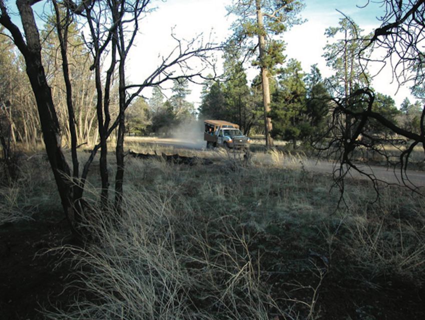 Grand Canyon: Off-Road Sunset Safari with Skip-the-Gate Tour - Key Highlights You’ll Feel the Most