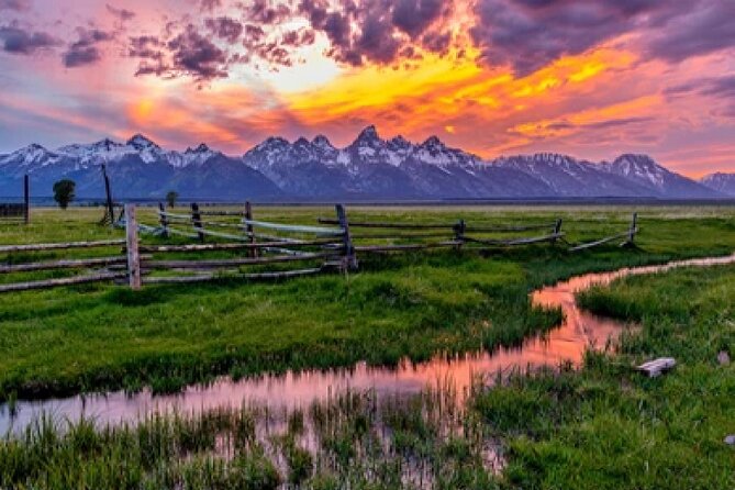 Grand Teton Wildlife Safari in a Enclosed or Open-Air Vehicle (season dependent) - Key things you’ll notice on this safari