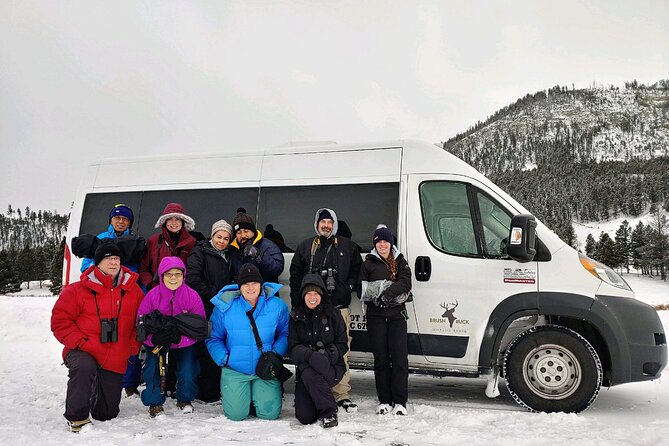 Grand Teton Wildlife Safari in a Enclosed or Open-Air Vehicle (season dependent) - Open-air vs enclosed: comfort can change everything