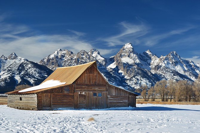 Grand Teton Wildlife Safari in a Enclosed or Open-Air Vehicle (season dependent) - The ride experience: small group, lots of attention