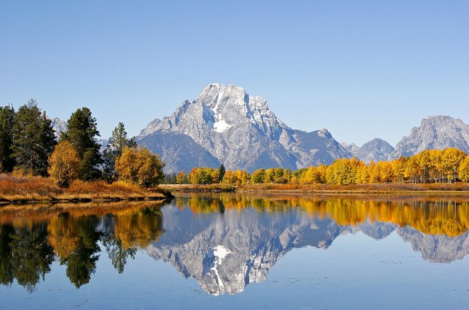 Grand Teton Wildlife Safari Tour - What’s included: breakfast, lunch, binoculars, and real guide time