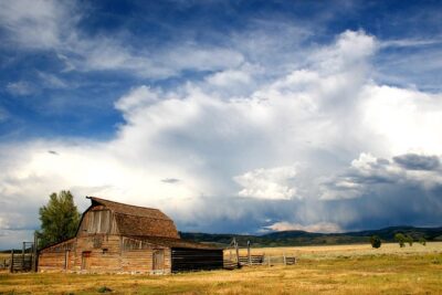 Grand Teton Wildlife Safari Tour - Price and value: what $305 really buys you in the Tetons