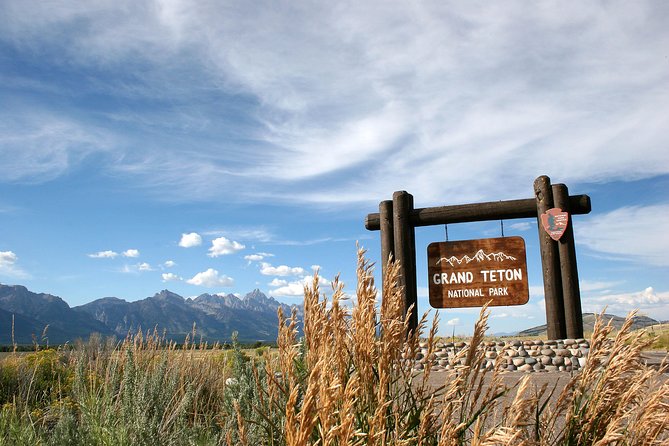 Grand Teton Wildlife Safari Tour - Jenny Lake: where a 30-minute stop can still pay off