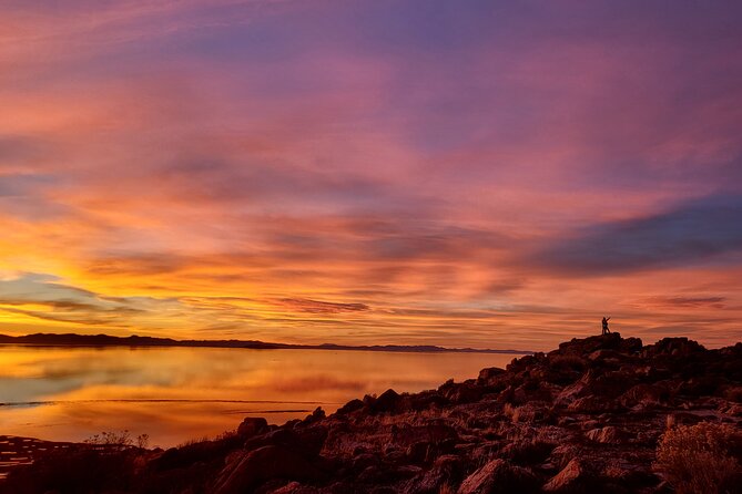 Great Salt Lake Safari - Discover Antelope Island - Clayton’s guide style: why wildlife shows up